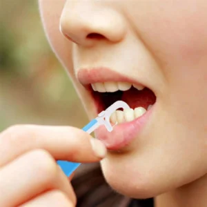 Floss Pick Holder Brush Stick Toothpick Flosser for Oral Deep Oral Health Blue